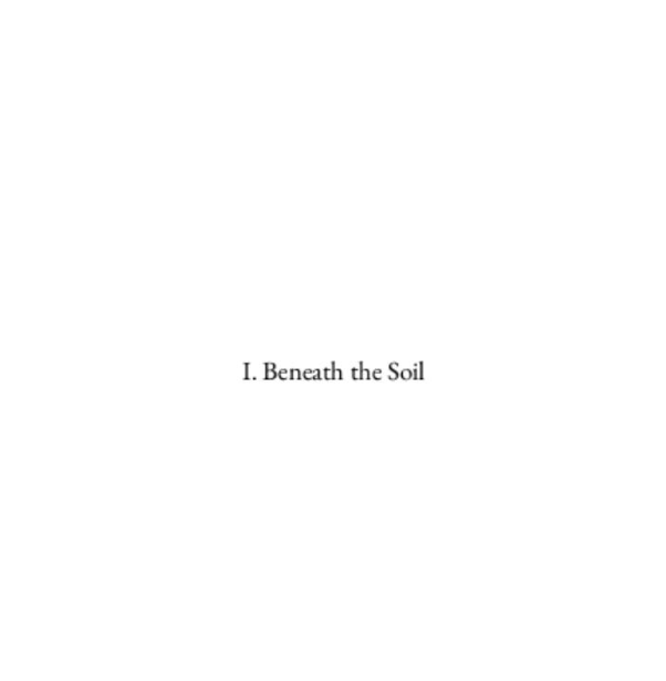 Haikus in the Dark: 150 Shadows in Verse | Dark Poetry eBook