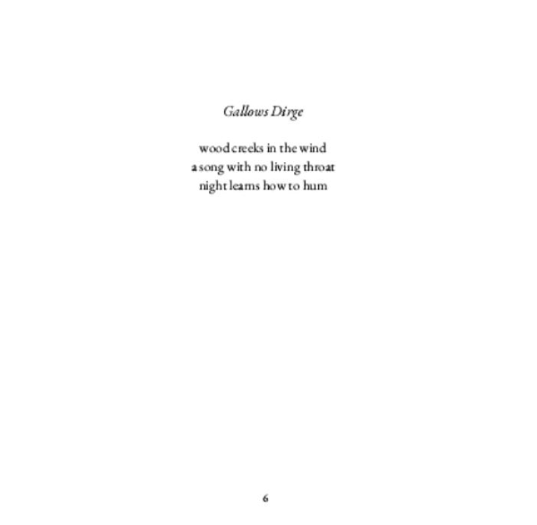 Haikus in the Dark: 150 Shadows in Verse | Dark Poetry eBook